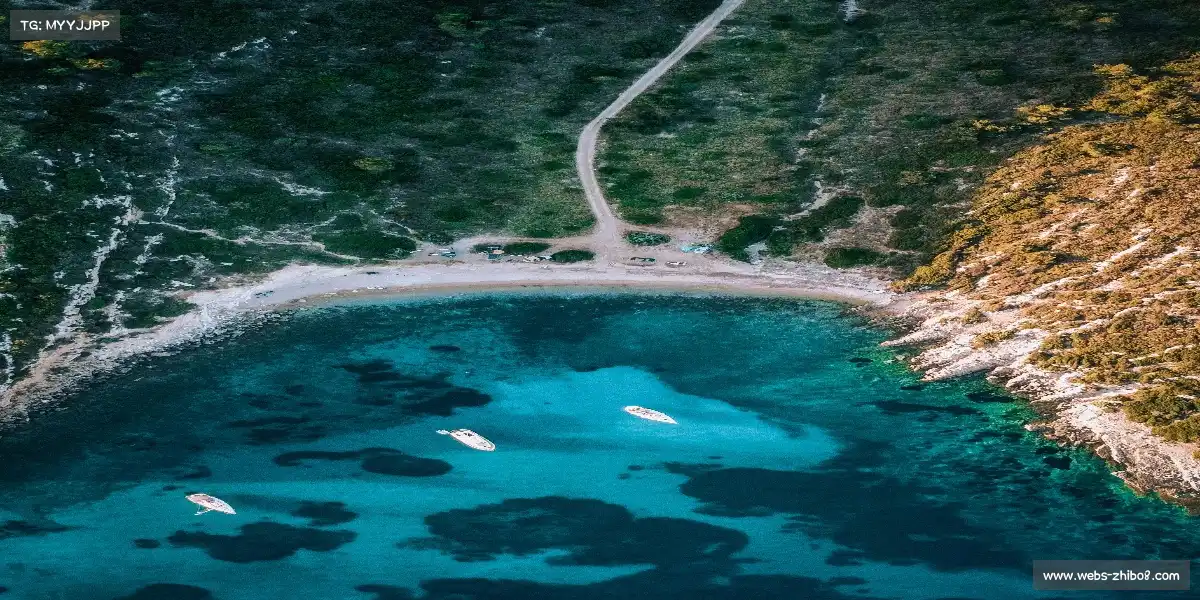 服务种类| 直播吧（中国）官方网站- 直播网